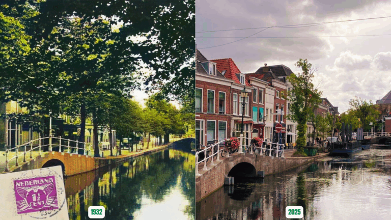 Vrouwjuttenland: waar is het groen gebleven?