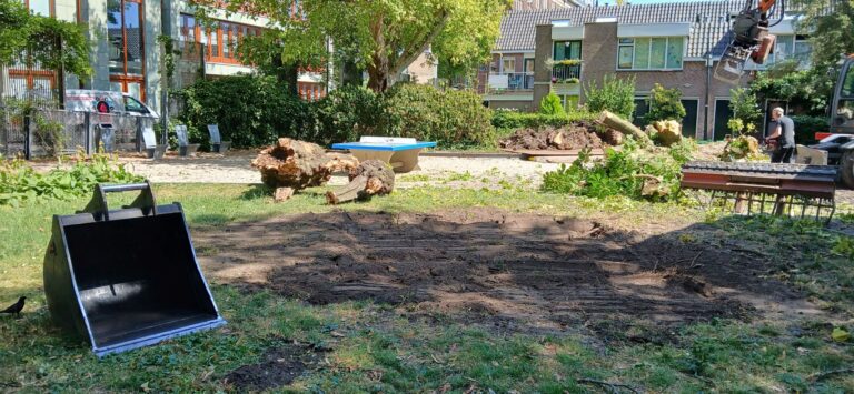 Het einde van een aantal monumentale bomen in, maar ook een nieuw begin voor de Doelentuin
